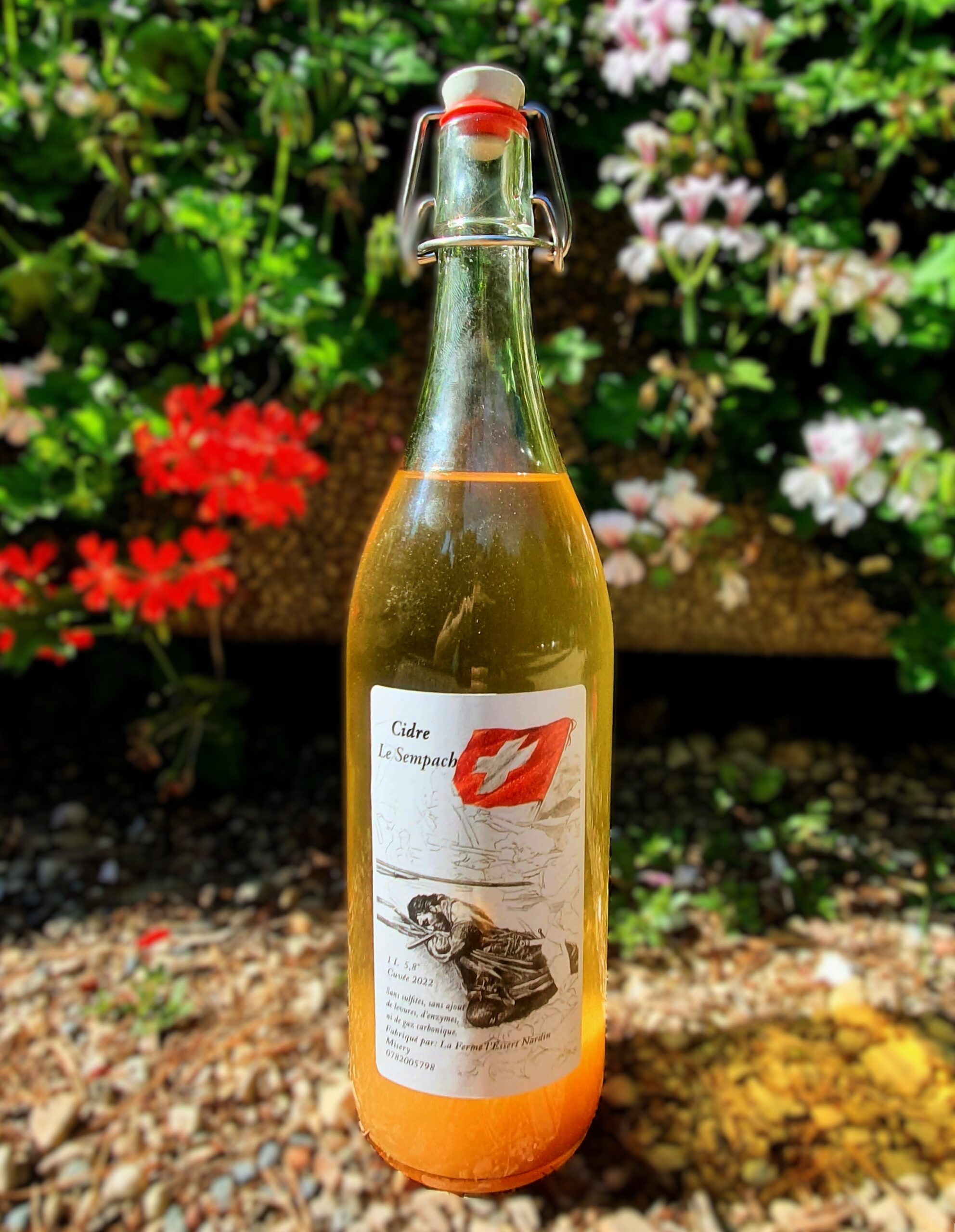  Cidre brut 70cl (bouteille)