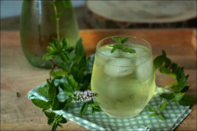 Thé froid maison menthe 5dl